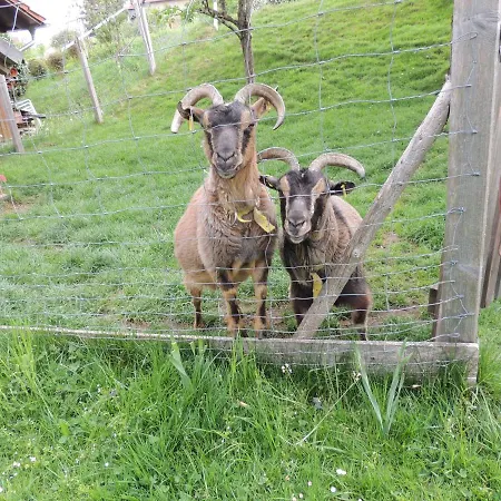 Butscher Apartment *