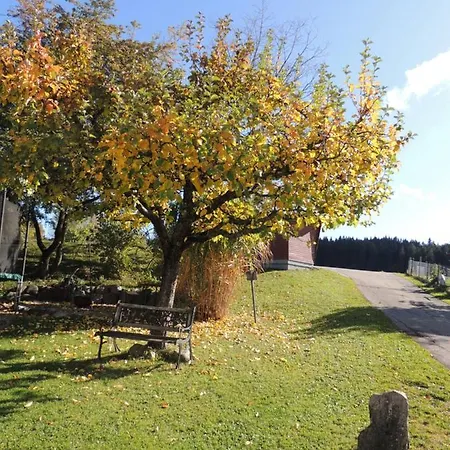 Butscher Isny im Allgäu